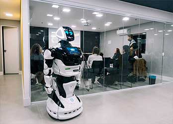 Арендовать промо роботов